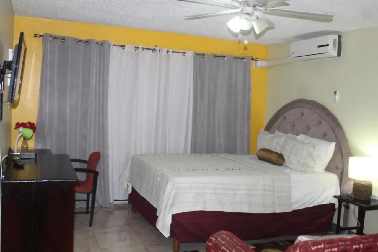 Comfy, Central & Elegant Studio New Kingston Apartment