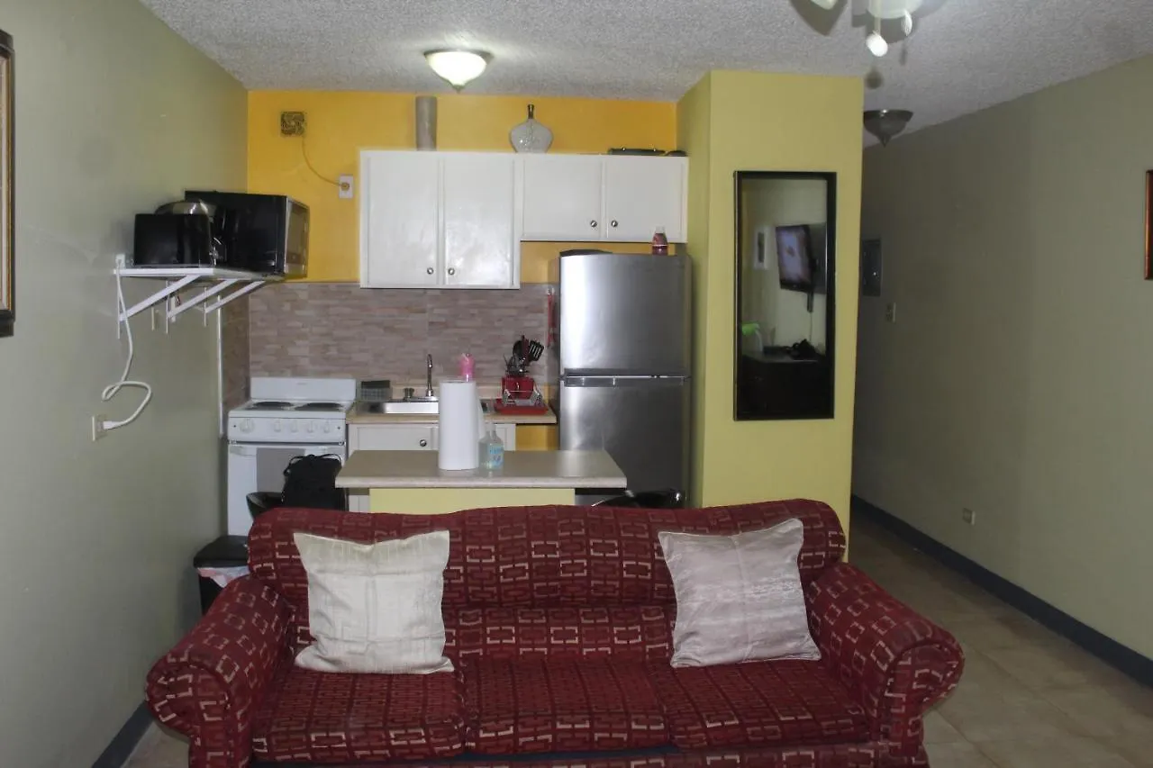 Comfy, Central & Elegant Studio New Kingston 0*,
